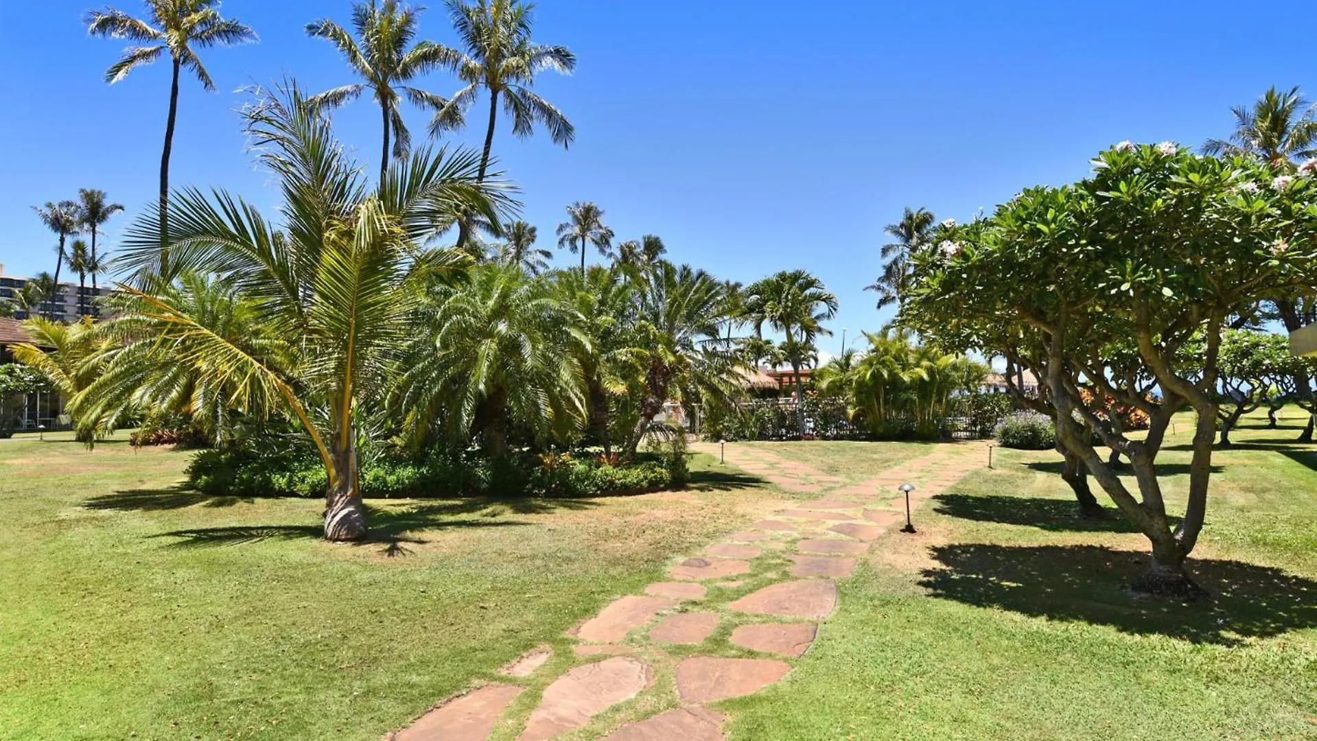 Kbm Resorts Free Car Maui Kaanapali Villas Renovated Studio Near Beach Central Ac Mkv-B247 Apartamento