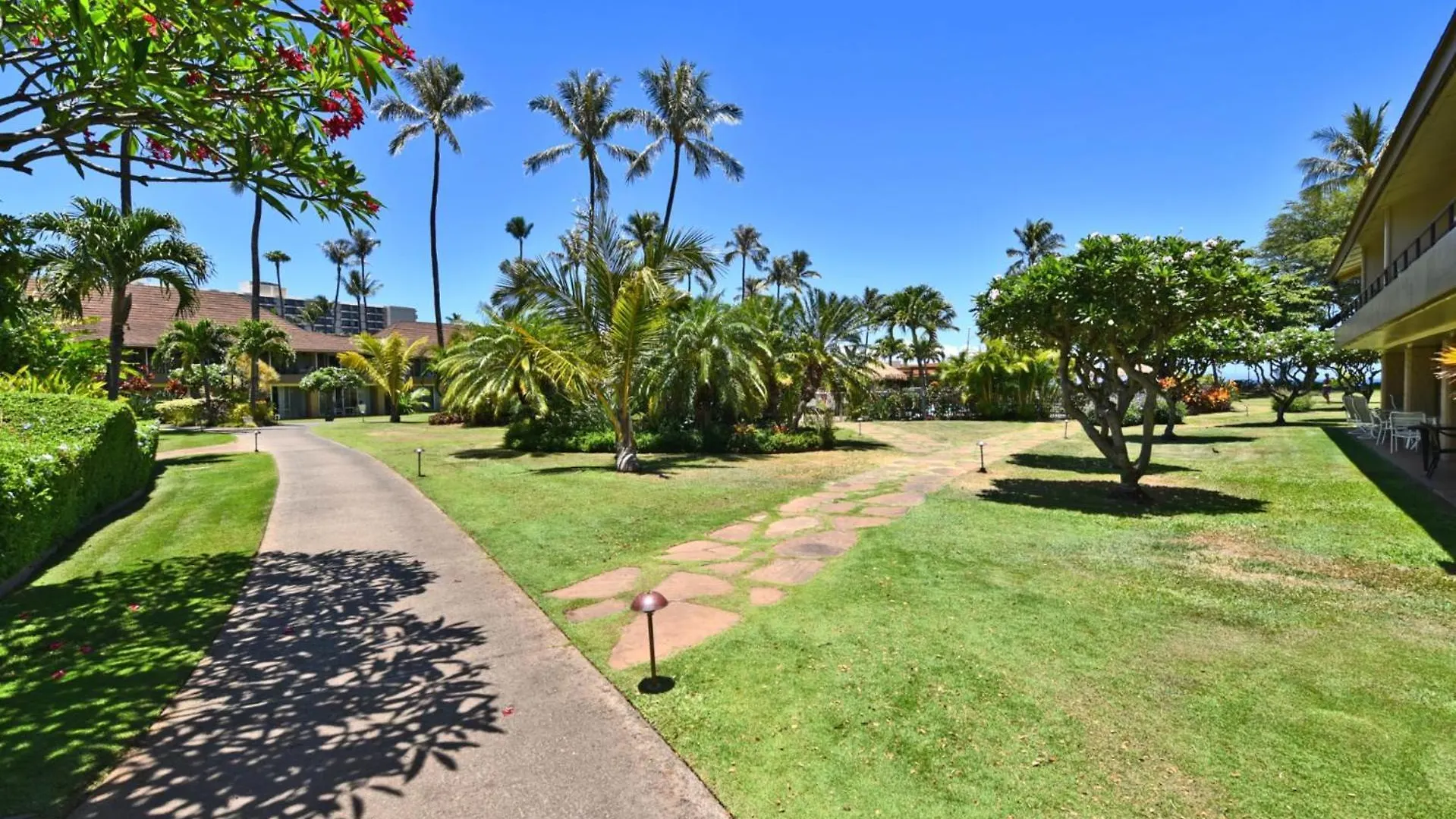 Kbm Resorts Free Car Maui Kaanapali Villas Renovated Studio Near Beach Central Ac Mkv-B247