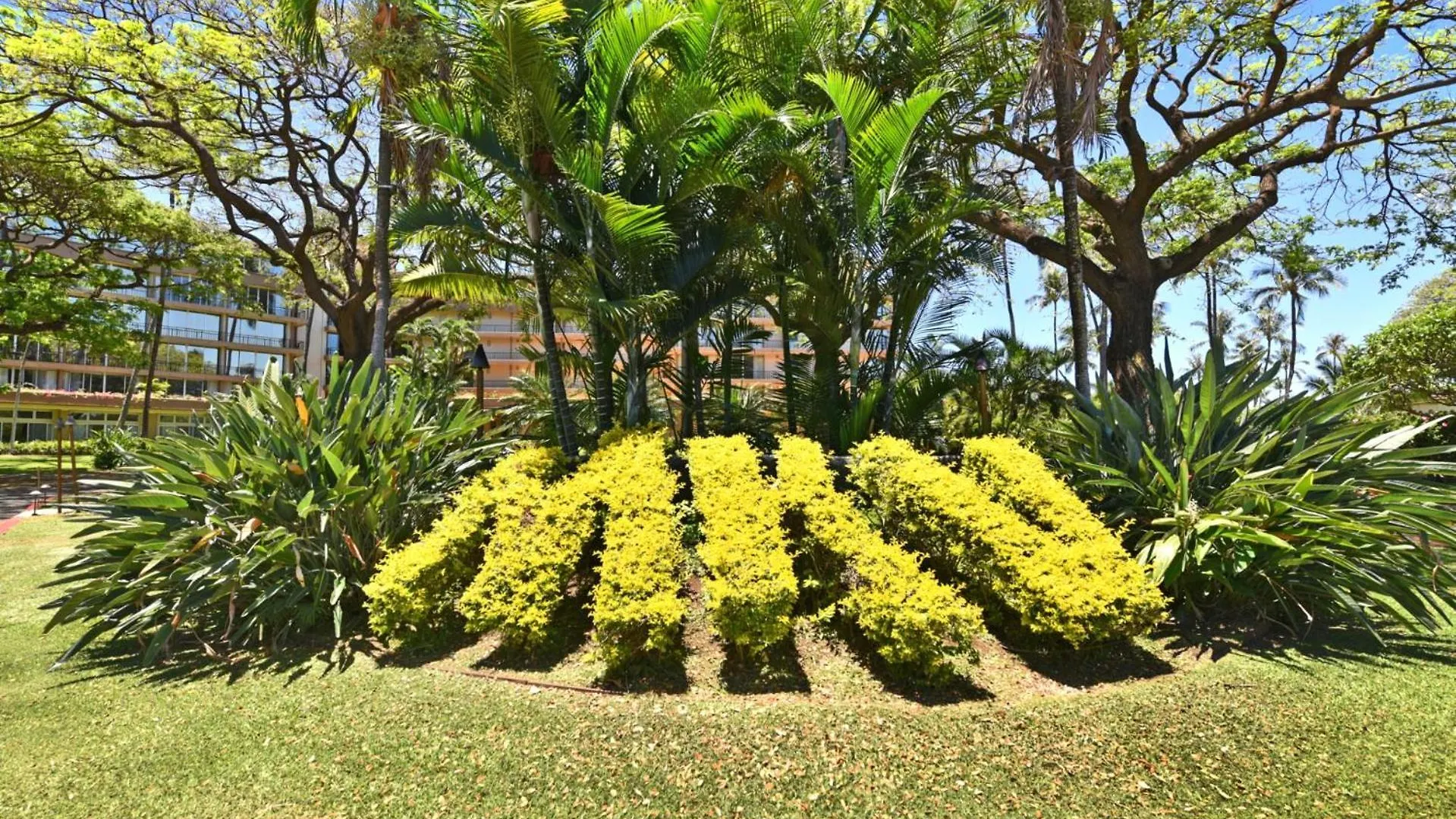 Kbm Resorts Free Car Maui Kaanapali Villas Mkv-Kvb-247 Renovated Studio Near Beach Central Ac 0*,
